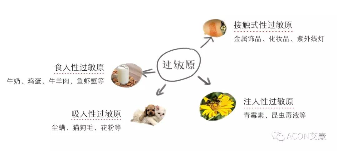 APAAACI 2019 | 深入解讀過敏原：從診斷到治療，優(yōu)化過敏原診斷管理——艾康生物過敏原檢測分會