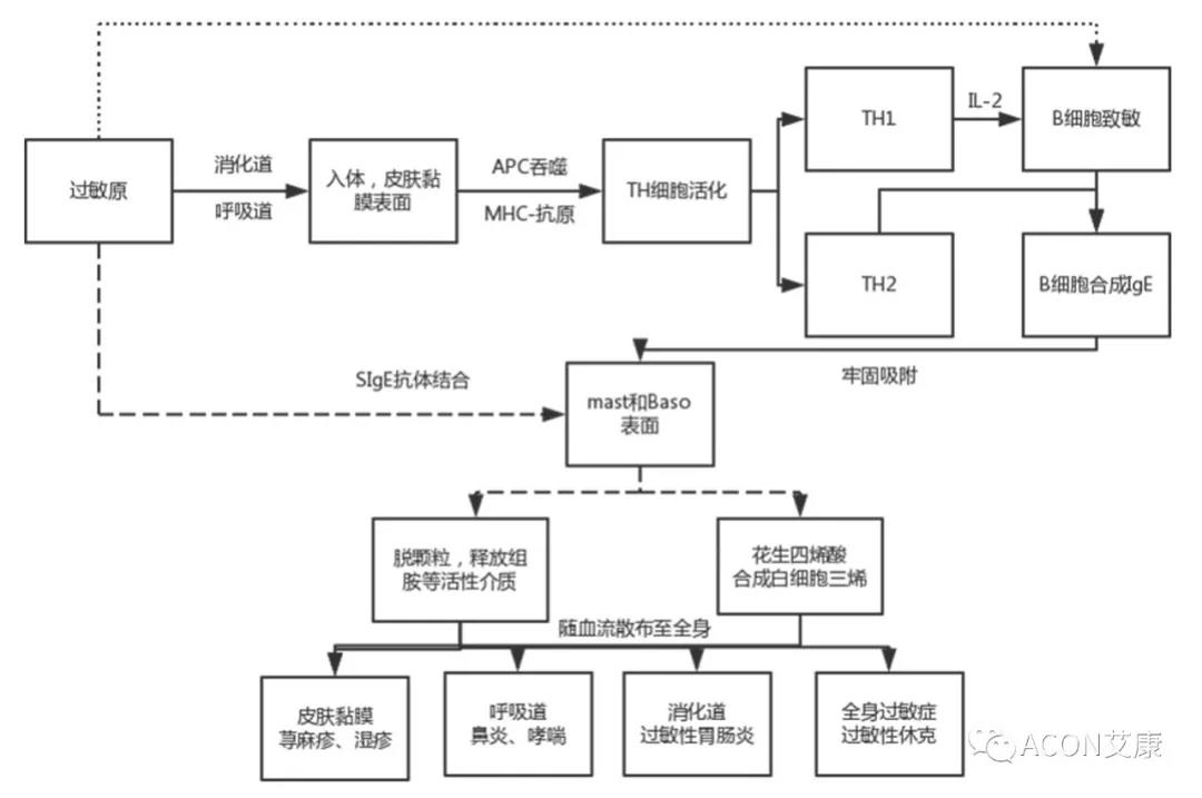 APAAACI 2019 | 深入解讀過敏原：從診斷到治療，優(yōu)化過敏原診斷管理——艾康生物過敏原檢測分會